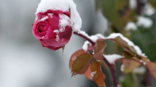 Previsione serale per il 20-04: Possibili rovesci mattutini con graupel. Clima invernale